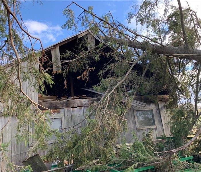 Tree in barn roof from storm