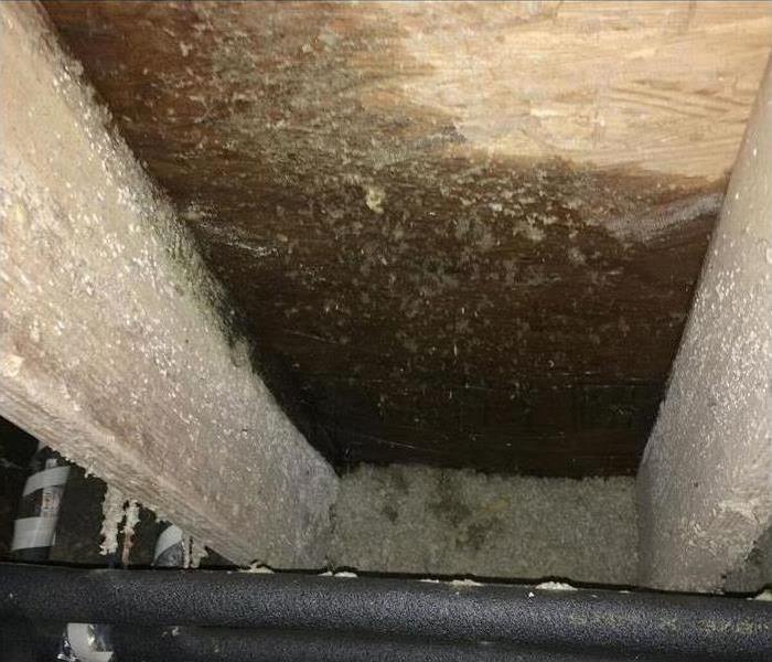 wet crawlspace