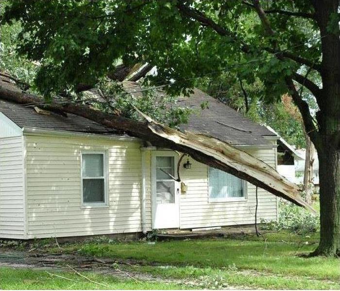 House with tree fallen on it from storm